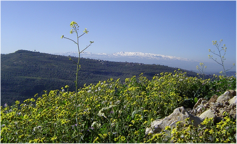 Und dahinten der Libanon