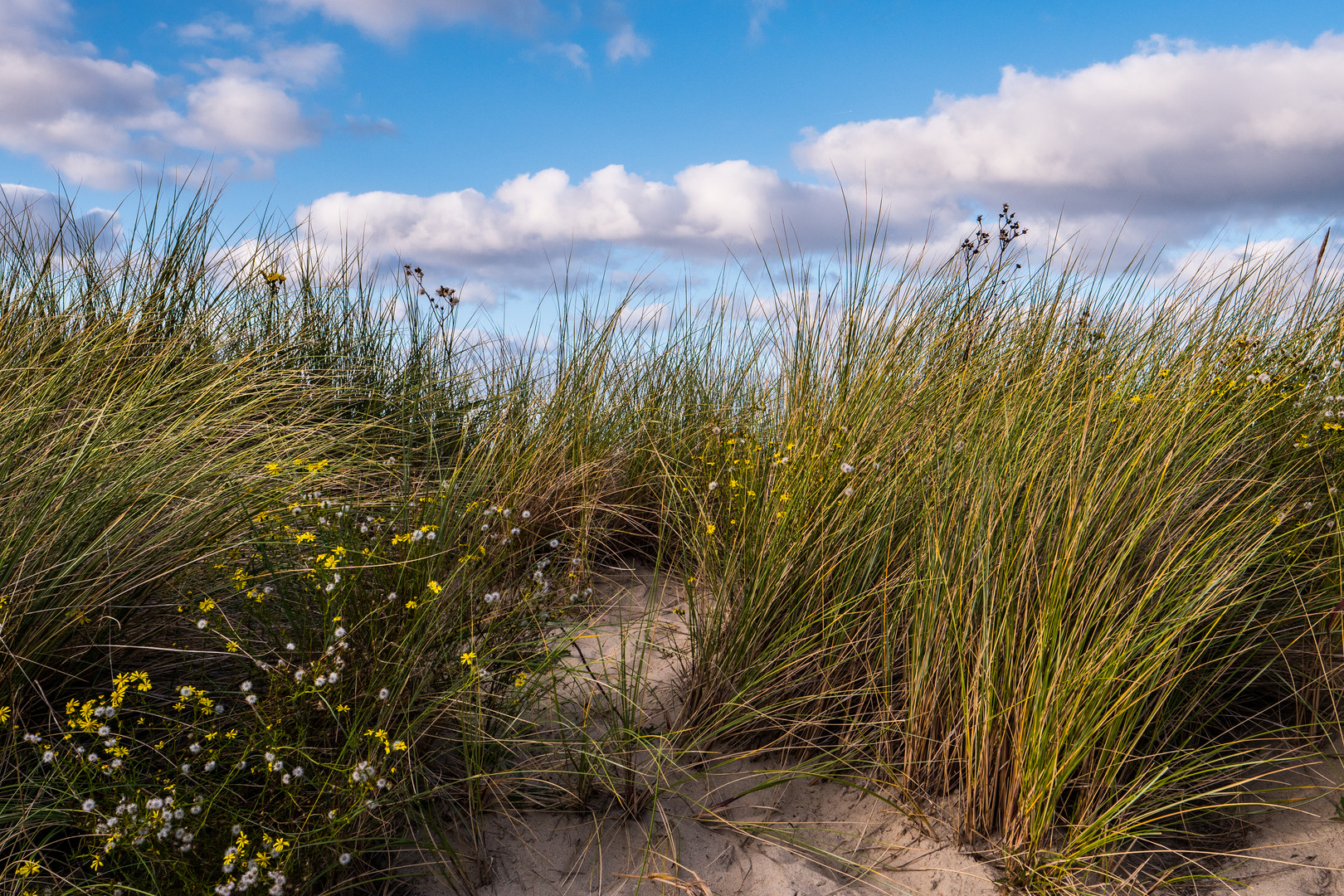 ... und dahinter das Meer