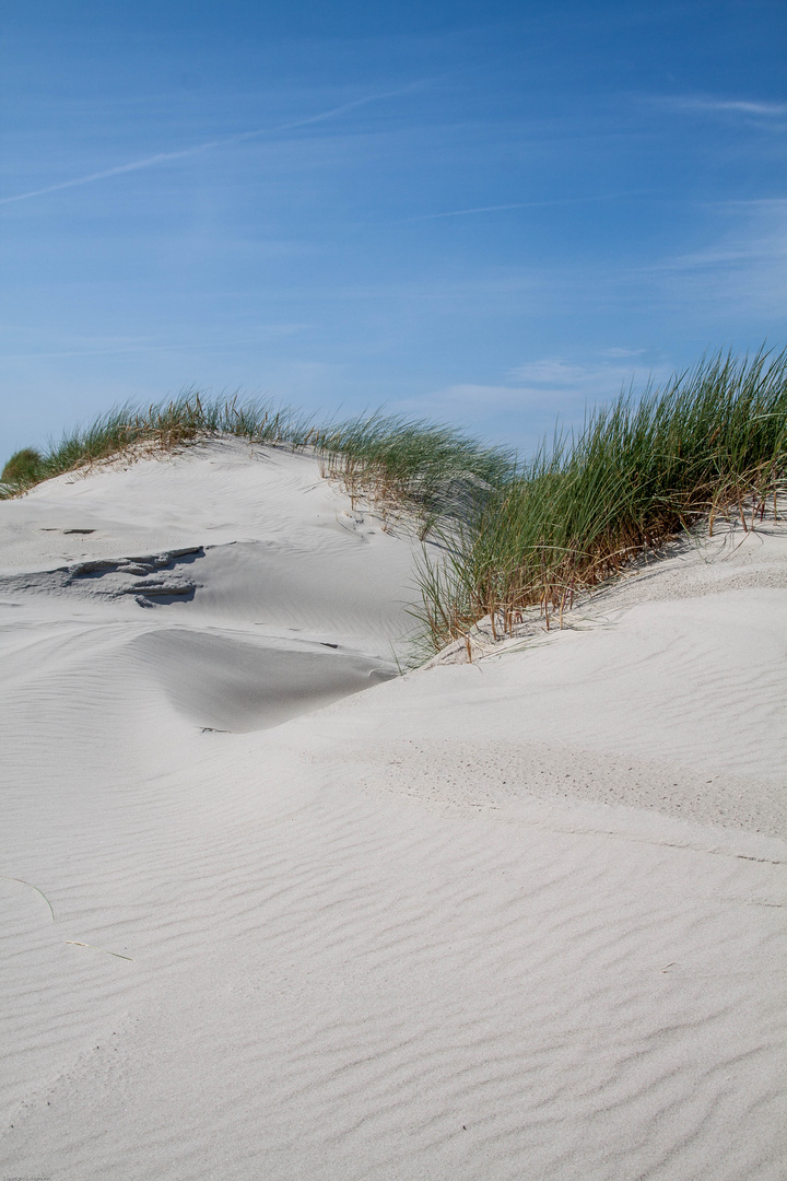 und dahinter die Nordsee