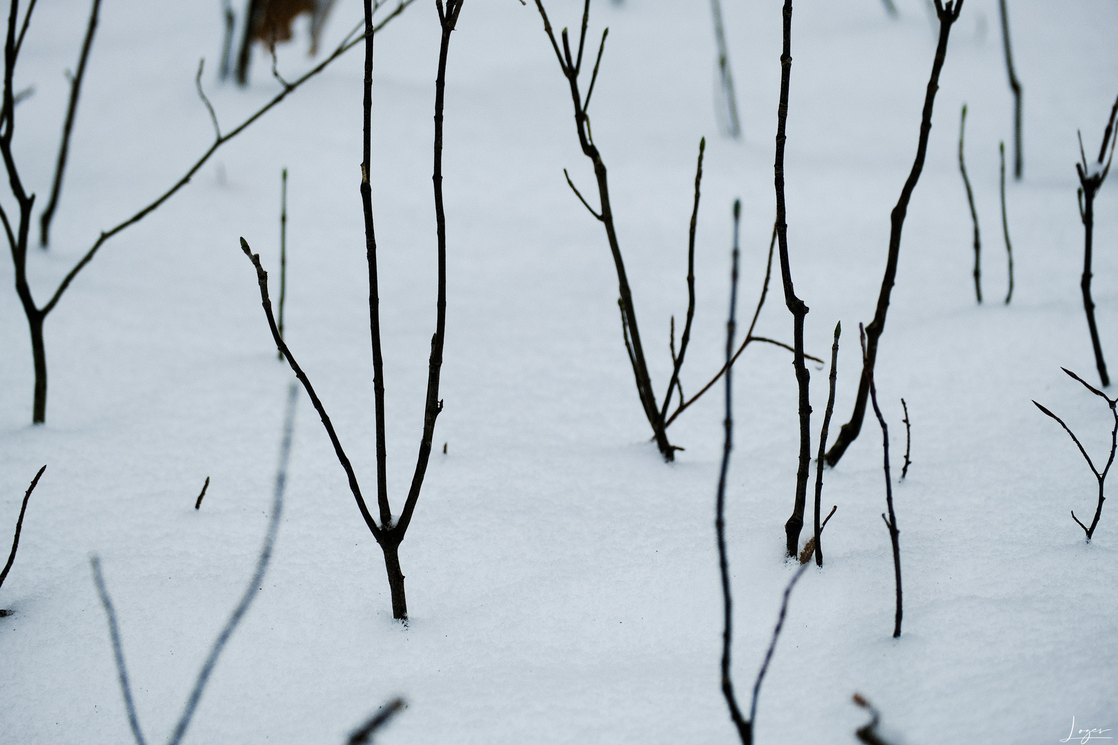 Und dann doch noch: Ein bisschen Schnee im Odenwald