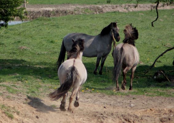 Und dann entdeckten sie mich