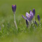 ... und dann fühlte es sich wie Frühling an!