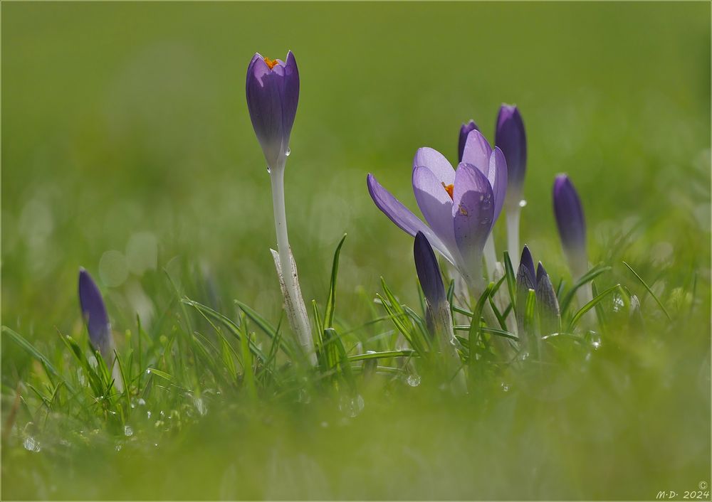 ... und dann fühlte es sich wie Frühling an!