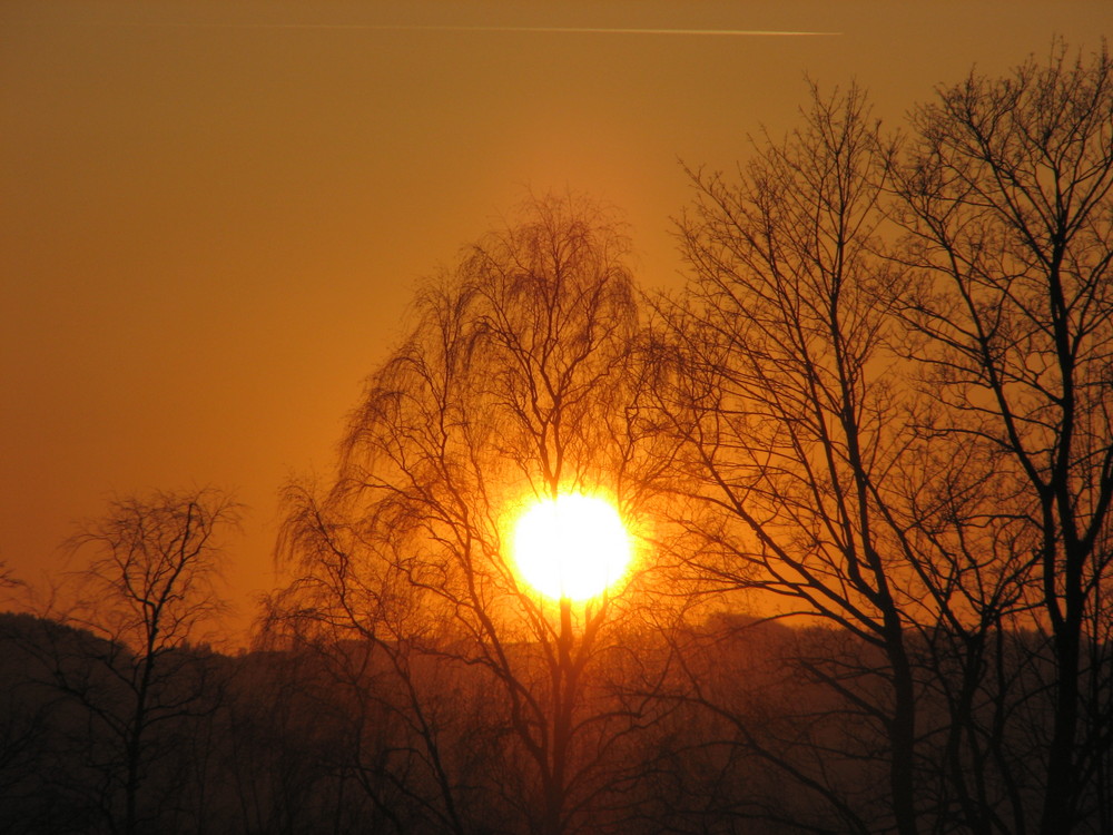 ...und dann gute Nacht. Bis bald!