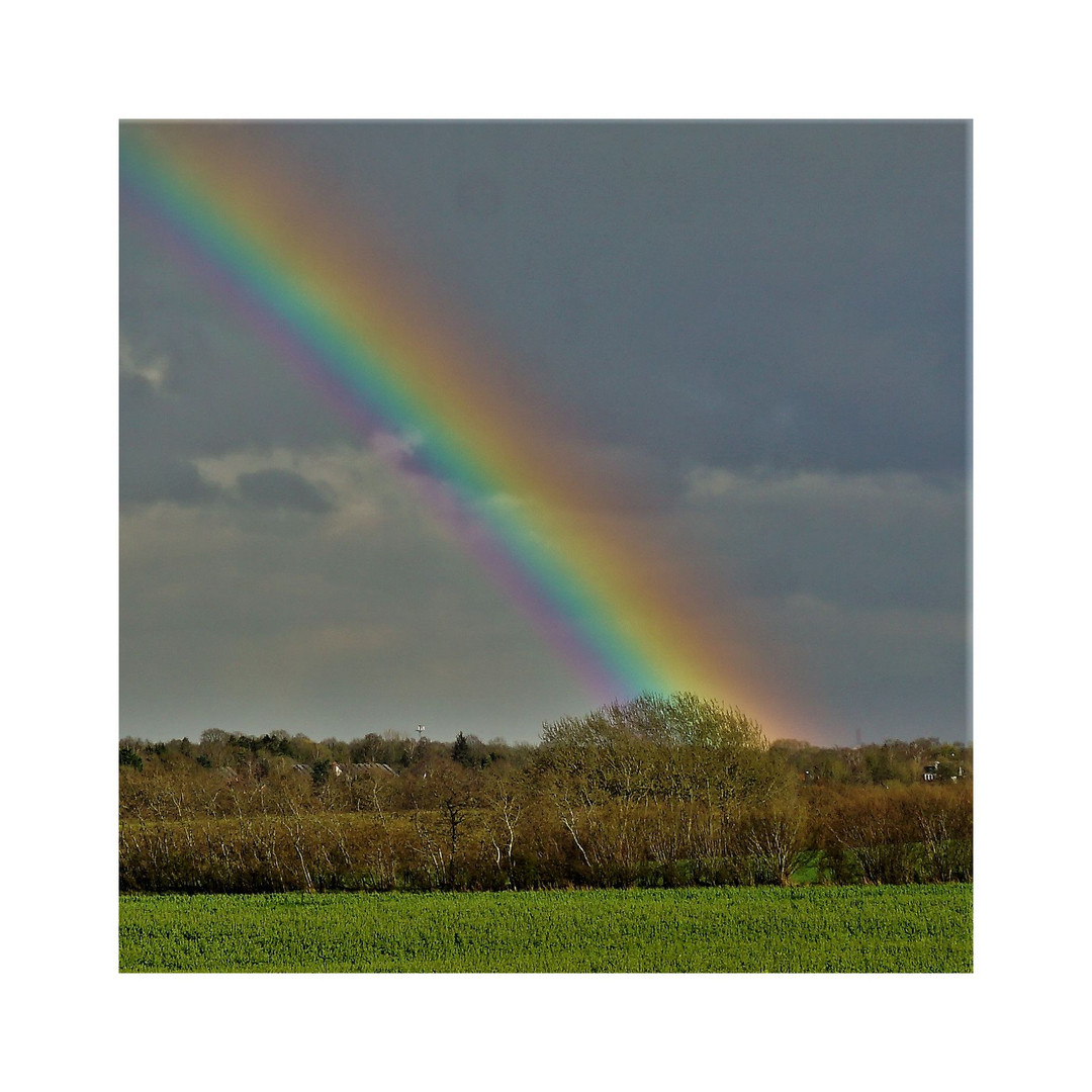 Und dann kam der Regenbogen