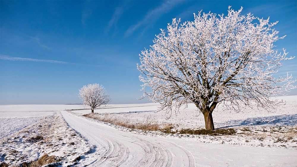 ... und dann kam der Winter doch noch ...