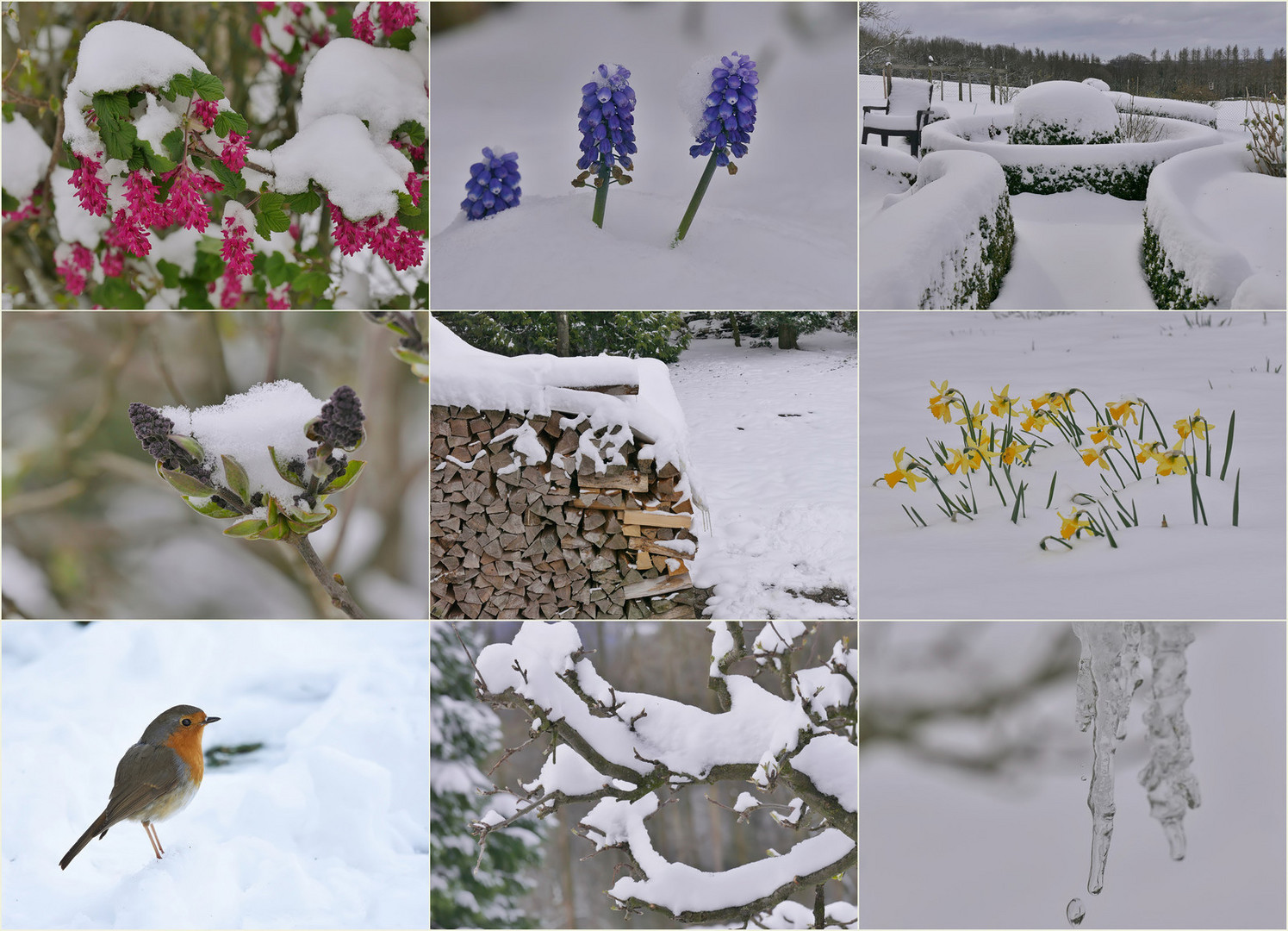 ... und dann kam nochmal der Winter zurück!