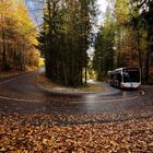 Und dann kam schließlich der Bus vorbei. 