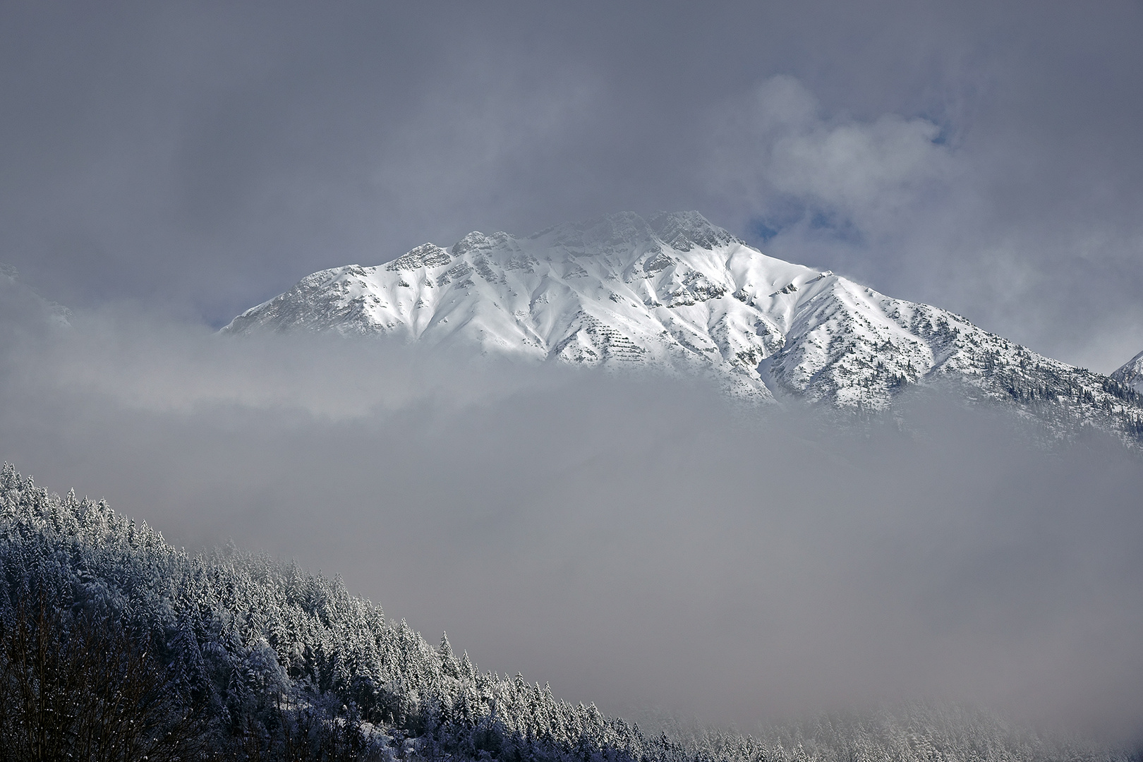 ...und dann kam wieder Schnee 24.02.2024