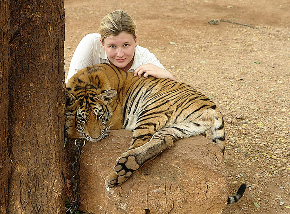 und dann noch ein kleinerer Tiger