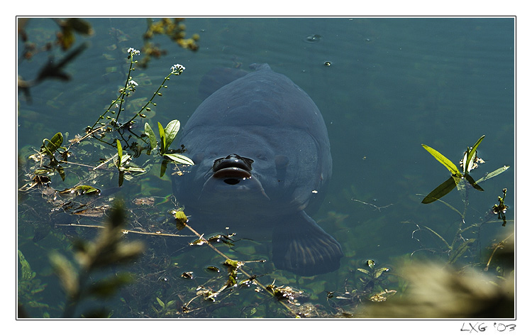 und dann schoss ein Wasserstrahl raus und traf mich im linken Auge,