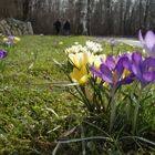 und dann war der frühling da.