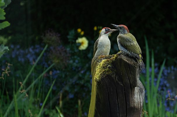 und das am hellen Morgen....