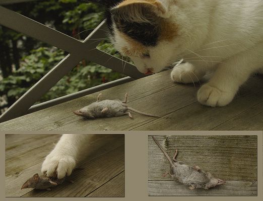 .....und das Ende...