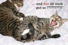 ... und das ist auch gut so ???