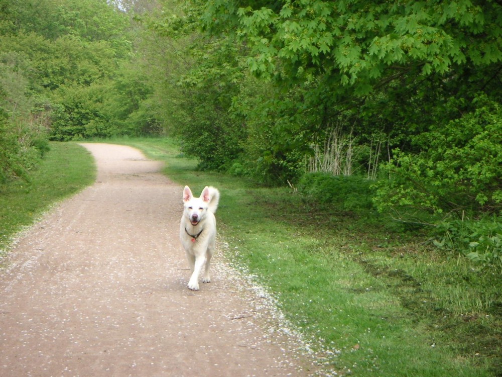 und das ist unser Max mit fast 14 Jahren