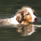 und das Julchen schwimmt schon ...