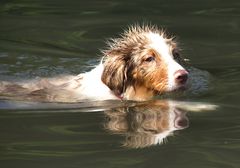 und das Julchen schwimmt schon ...