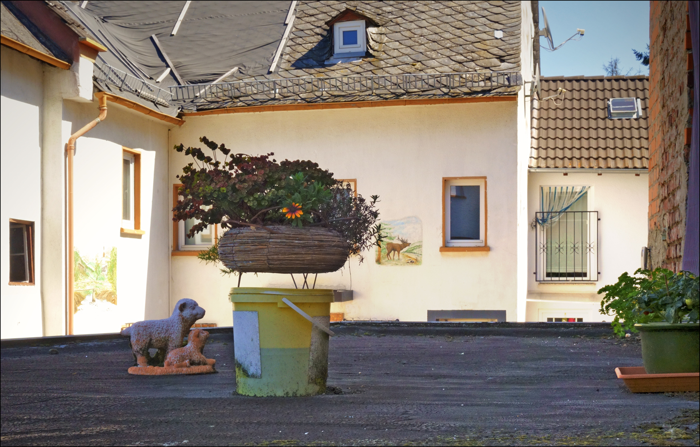 und das Lamm schrie Hurz angesichts der noch grünenTomaten