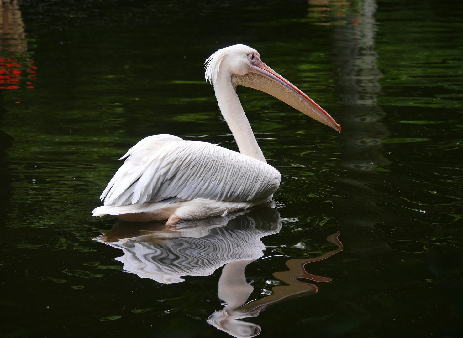 und das Spiegelbild hat ihn begleitet