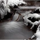 Und das Wasser fließt trotz Frost