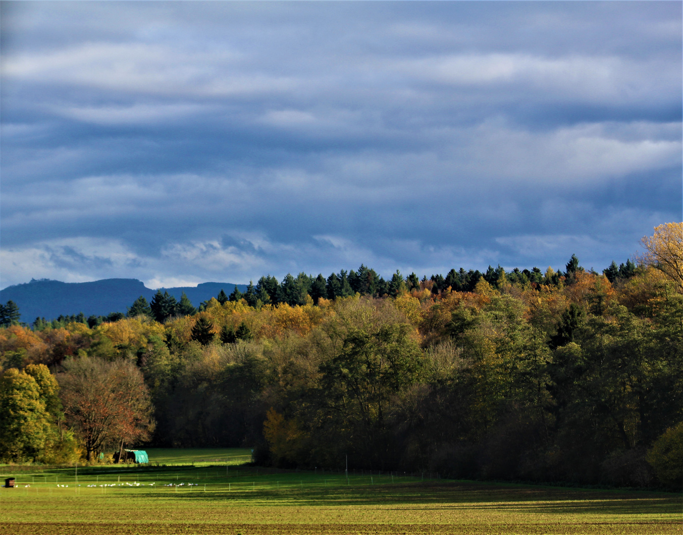 und das Wetter ist wohl gesonnen