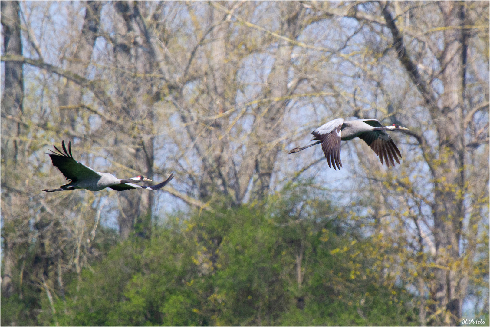 Und der Abflug