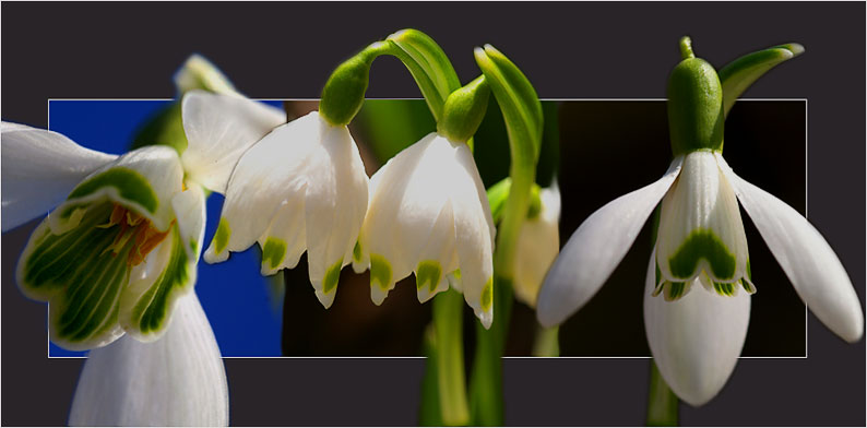 und der Frühling kommt doch