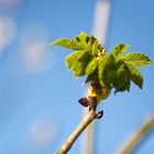 ...und der Frühling kommt doch!