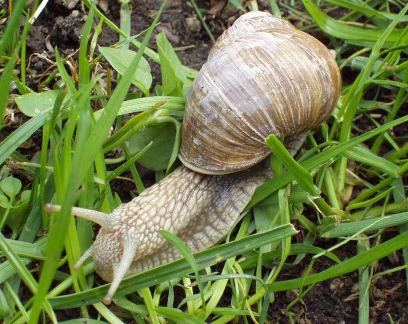 und der Frühling kommt doch!