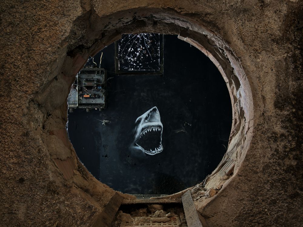 ,, Und der Haifisch der hat Zähne ,, Foto & Bild | bilder, fotos, art