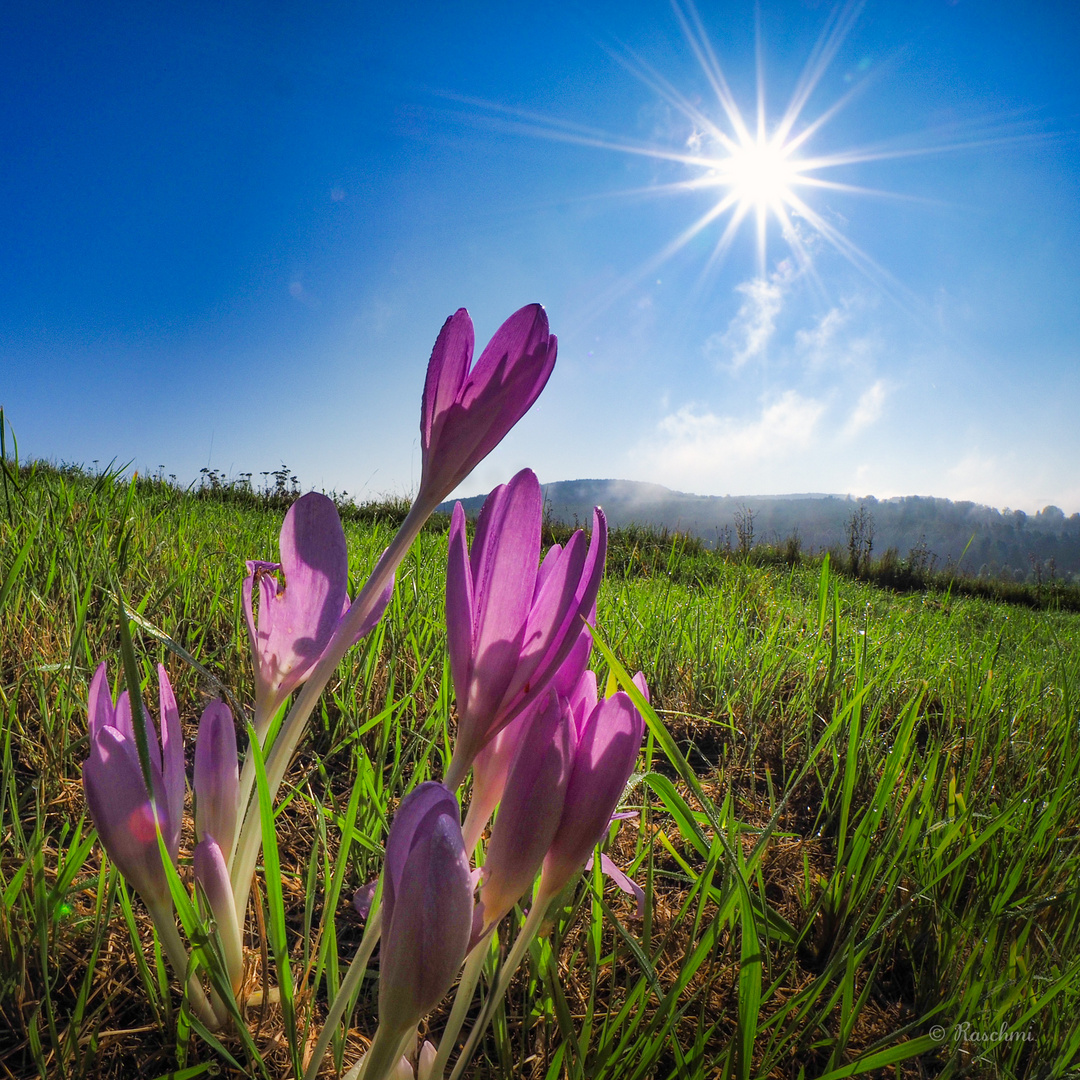 . . . und der Herbst beginnt