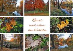 und der Herbst beginnt