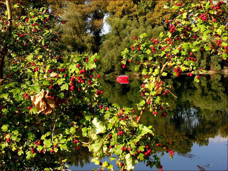 ... und der Herbst beginnt.