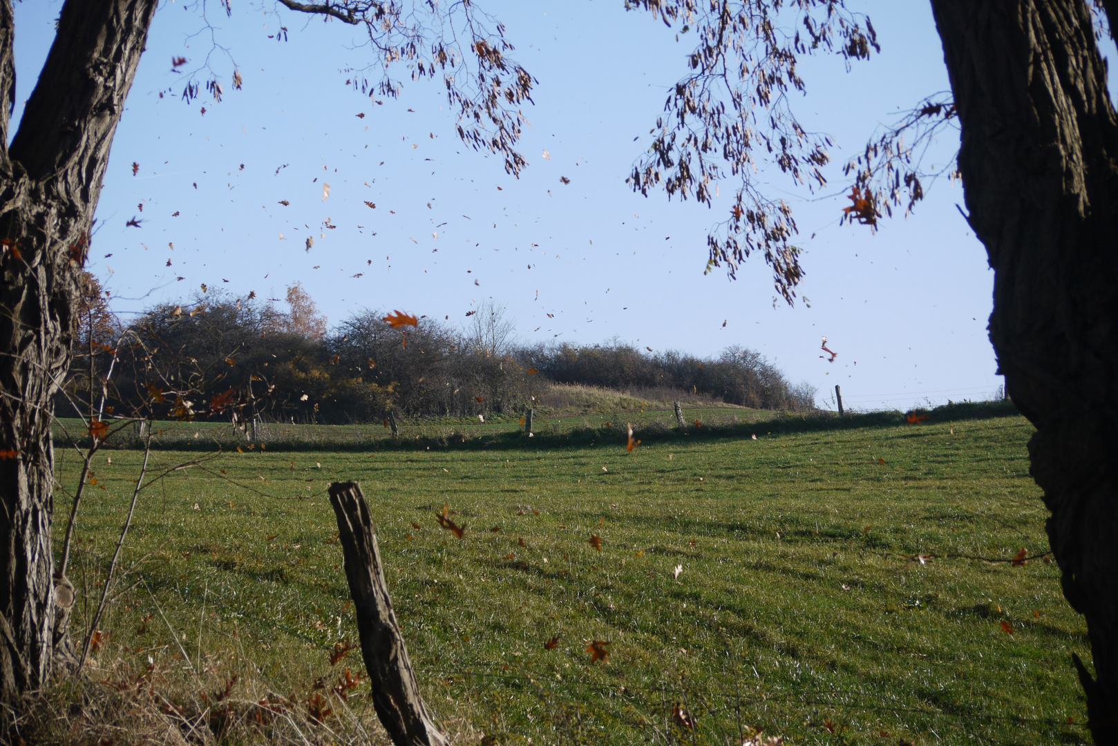 und der Herbst beginnt