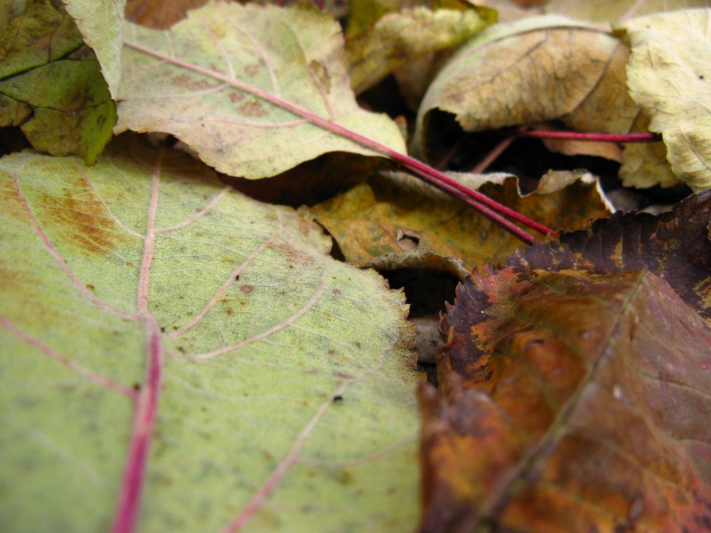 ...und der Herbst kann kommen.