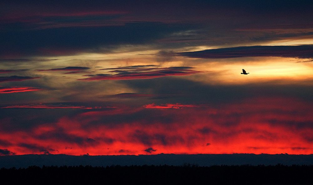 und der Himmel brannte (29.12.2012)