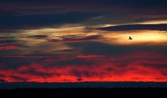 und der Himmel brannte (29.12.2012)