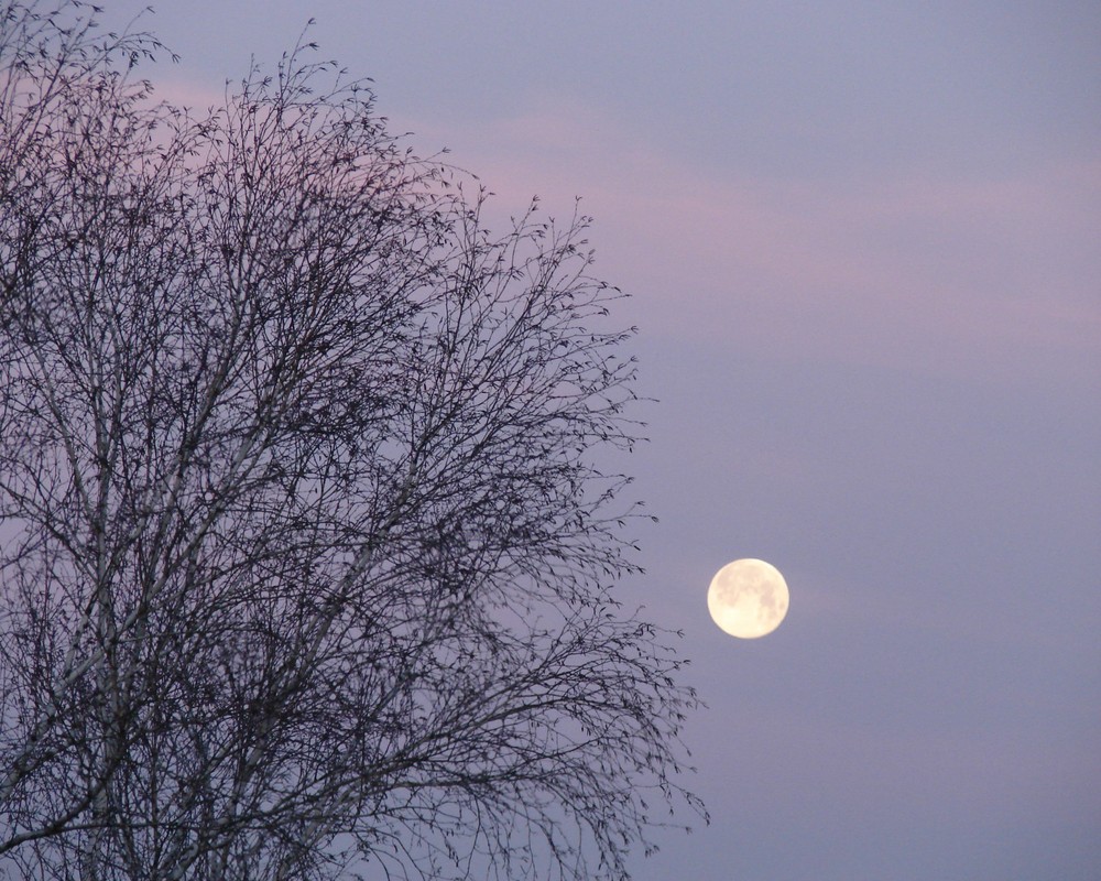 Und der Mond hing wie ein Stück Weichkäse über der Stadt....