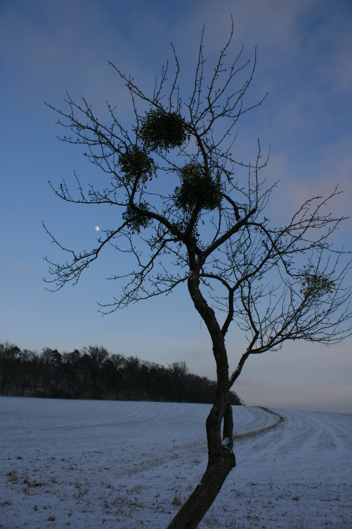 Und der Mond schaut zu