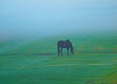 …und der Nebel…