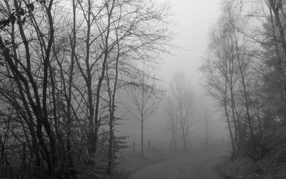 ~ ... und der Nebel ist so dicht, daß ich Dich nicht seh, ... ~