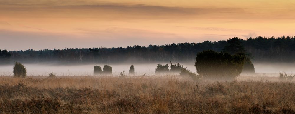 "und der Nebel kriecht"