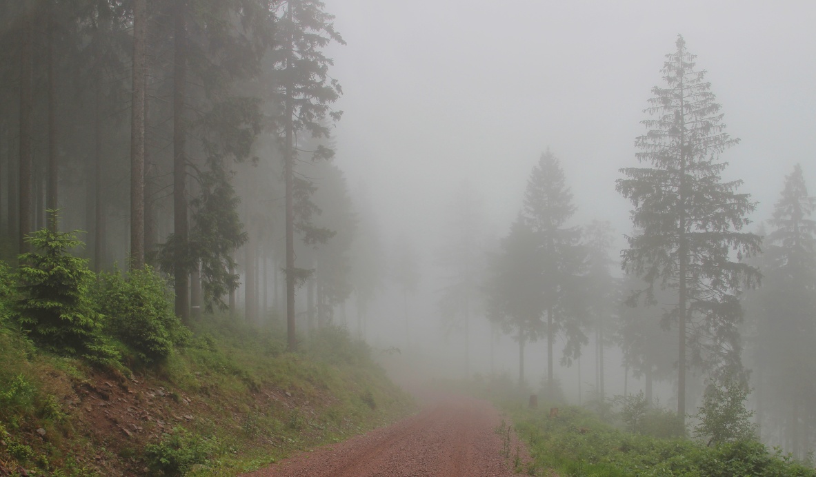 Und der Nebel war immer intensiv 