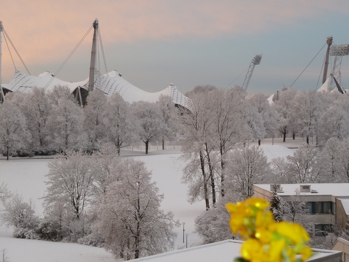 Und der Winter kommt doch noch......