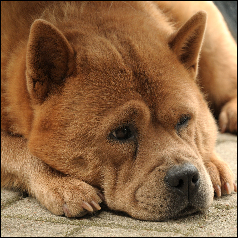 ... und die Mama hat alles im Blick