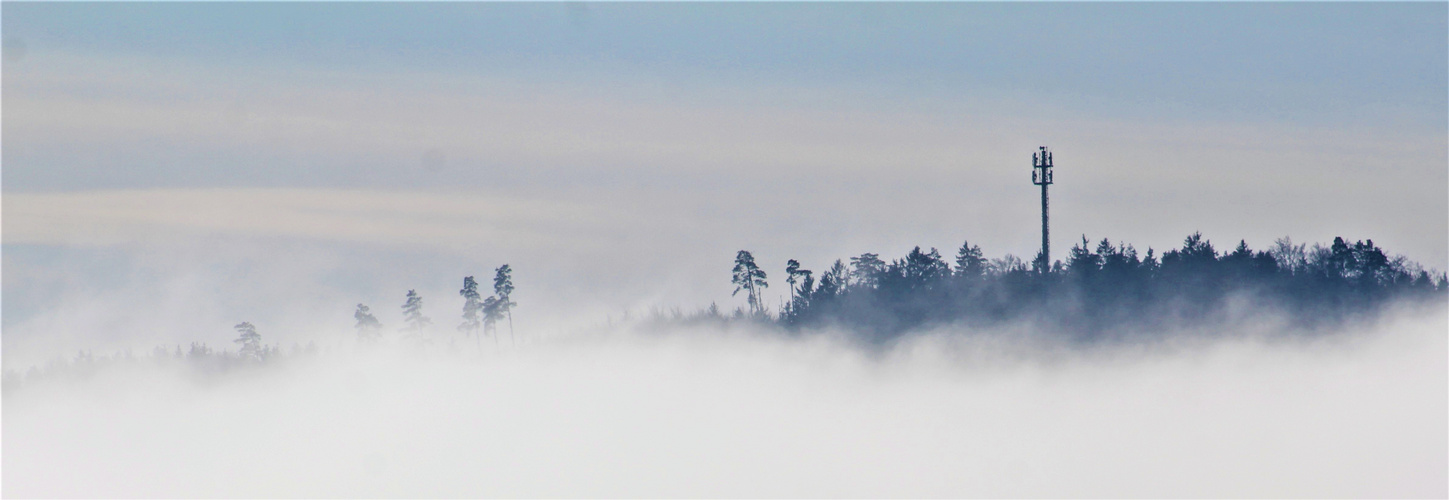 und die Natur versinkt im Nebel