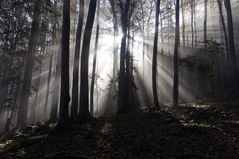 Und die Sonne kommt doch durch