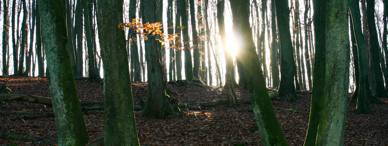 ... und die Sonne scheint trotzdem ...