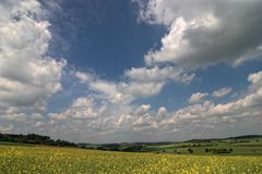 und die weiteren Aussichten, heiter bis wolkig und Raps